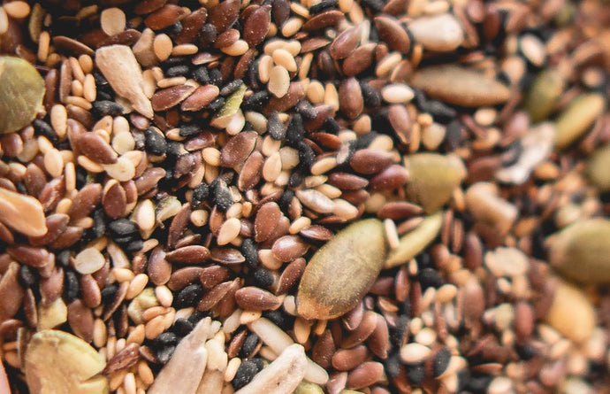 Power Up Your Snacking with Hemp Trail Mix: 3 Easy & Delicious Ways