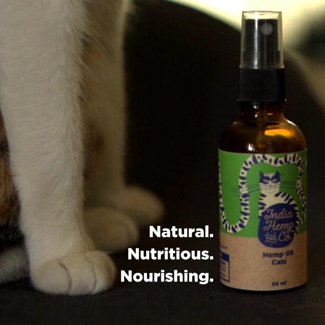 Hemp seed Oil (HOP) - Cats - India Hemp and Co.