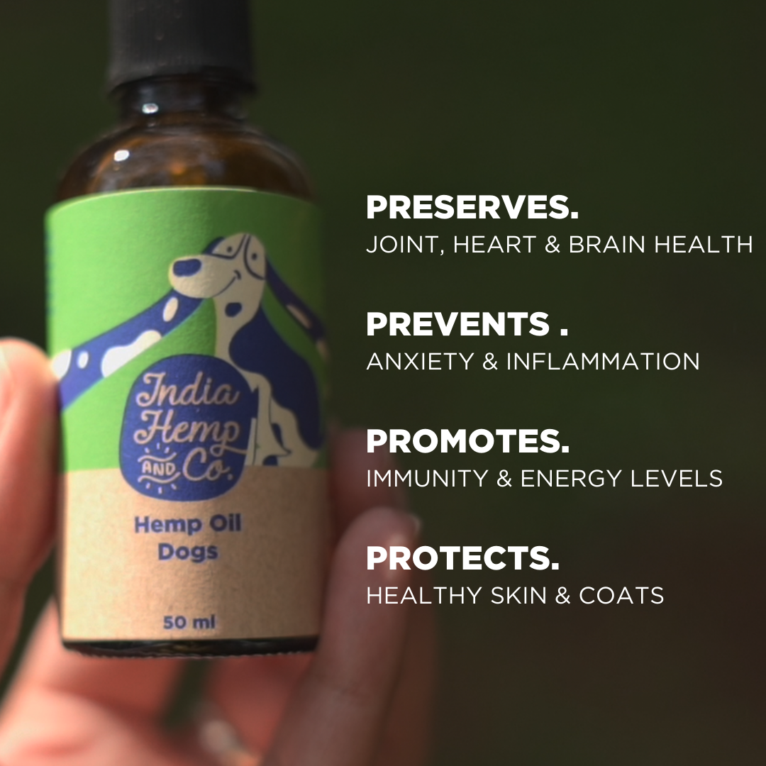 Hemp seed Oil (HOP) - Dogs - India Hemp and Co.