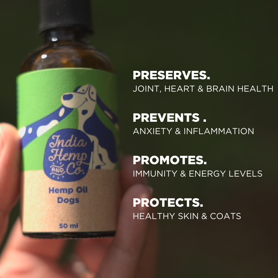 Buy Healthy Hemp Seed Oil for Dogs Online in India Hemp Products