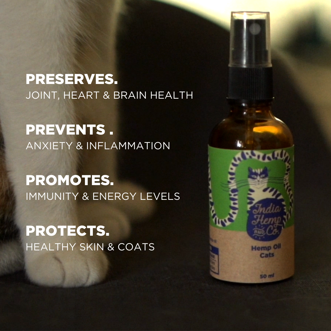 Hemp seed Oil (HOP) - Cats - India Hemp and Co.