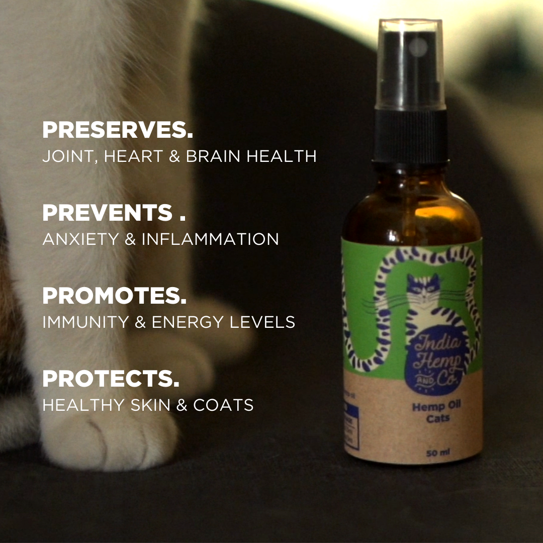 Buy Healthy Hemp Seed Oil for Cats Online in India Shop Online Now