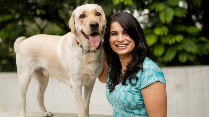 Understanding hemp oil for dog anxiety