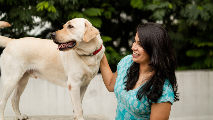 Hemp Oil for Dogs: Benefits and Uses