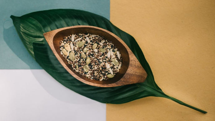 Fuel Your Body and Mind: Trail Mix Hemp Snacks to Boost Focus and Energy!