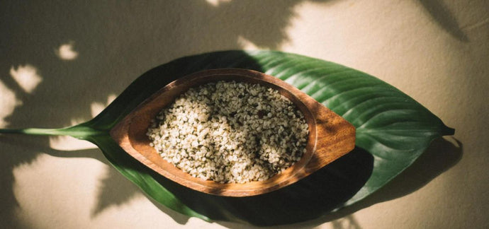 Hemp Milk