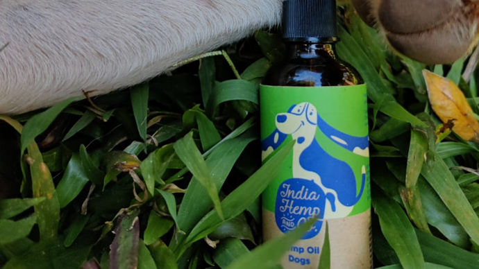 The best pet care for your dogs and cats - with Hemp seed oil!