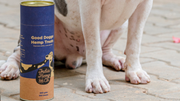Introducing Hemp Treats for dogs| It's benefits and uses