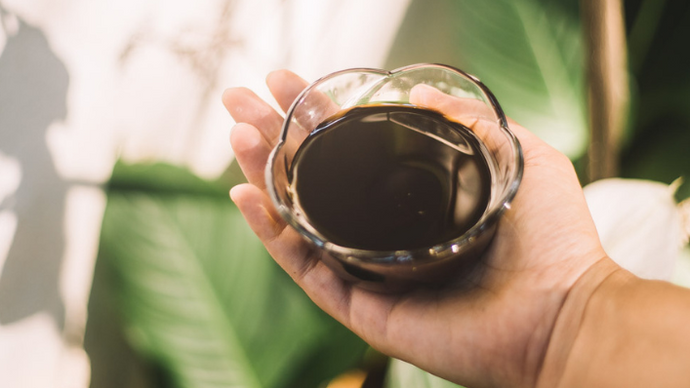 Elevate Your Skincare with India Hemp Seed Oil: A Natural Wonder