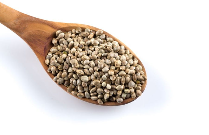 The Power of Hemp Seeds: Nutritional Benefits and Delicious Ways to Enjoy Them