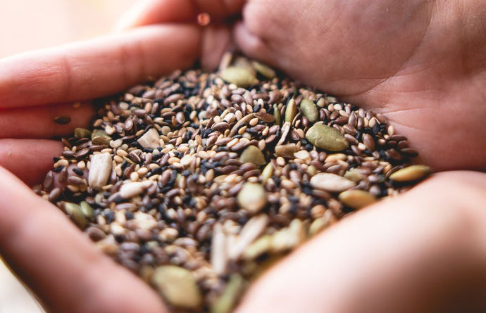 From Hike to High: Elevating Your Trail Mix Game with Hemp