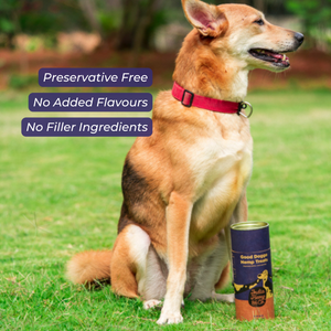 Good Doggo Hemp Treats