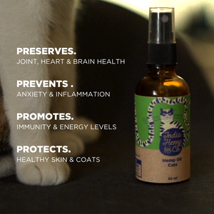Hemp seed Oil (HOP) - Cats - India Hemp and Co.